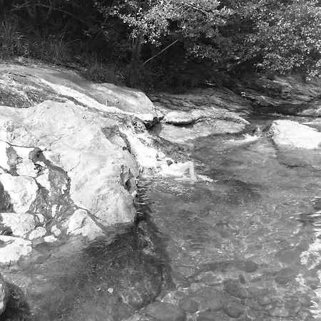 Studio61 -centro Storico- Lejlighed